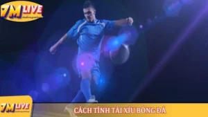 Cách tính tài xỉu bóng đá - Thông tin mới nhất từ 7M 7 Cách tính tài xỉu bóng đá