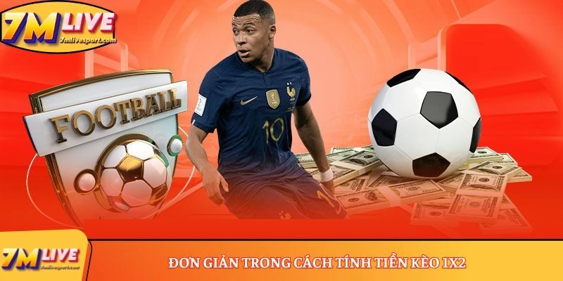 Cách tính tiền kèo 1x2 đơn giản, chi tiết nhất hiện nay 8 Đơn giản trong cách tính tiền kèo 1x2