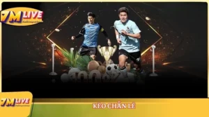 Kèo chẵn lẻ - Kèo nhà cái thu hút mọi thành viên tham gia 10 Kèo chẵn lẻ