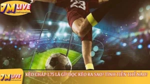 Kèo chấp 1.75 là gì? Đọc kèo ra sao? Tính tiền thế nào? 4 kèo chấp 1.75 là gì