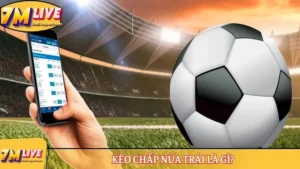 Kèo chấp nửa trái là gì? Đọc kèo và tính cược thắng thua 1 Kèo chấp nửa trái