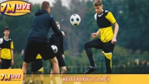 Kèo tài xỉu 1.5 là gì - Khám phá những kiến thức chuẩn nhất 2 Kèo tài xỉu 1.5 là gì