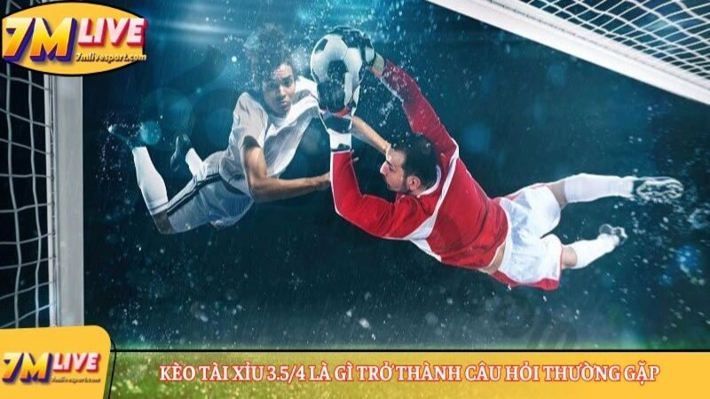 Kèo Tài Xỉu 3.5/4 là gì? Tìm hiểu cách tính tiền chi tiết khi tham gia kèo 7 Kèo Tài Xỉu 3.5/4 là gì trở thành câu hỏi thường gặp