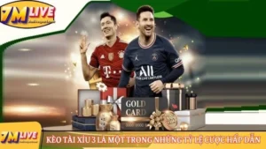 Kèo Tài Xỉu 3: Thông tin chi tiết về kèo cược hấp dẫn 10 keo tai xiu 3 la mot trong nhung ty le cuoc hap dan 1 1