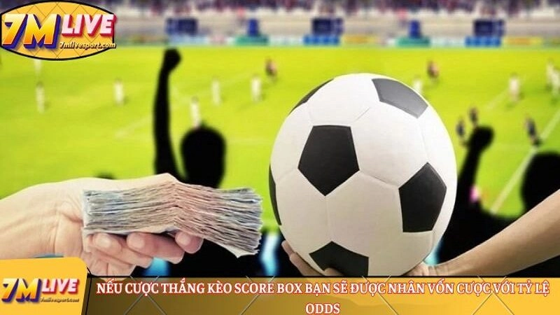Kèo chấp score box: Cẩm nang cược chuẩn từ A-Z cho newbie 9 Nếu cược thắng kèo score box