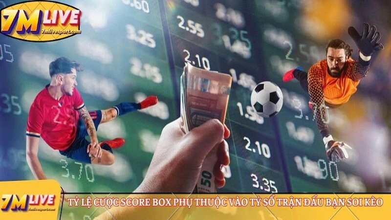 Kèo chấp score box: Cẩm nang cược chuẩn từ A-Z cho newbie 8 Tỷ lệ cược score box