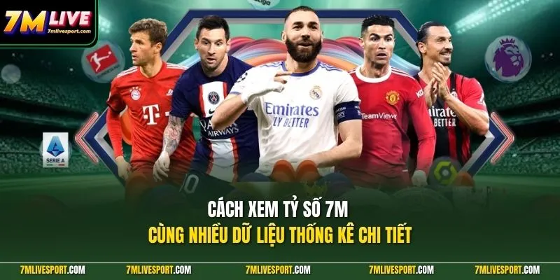 Cách xem tỷ số 7M cùng nhiều dữ liệu thống kê chi tiết