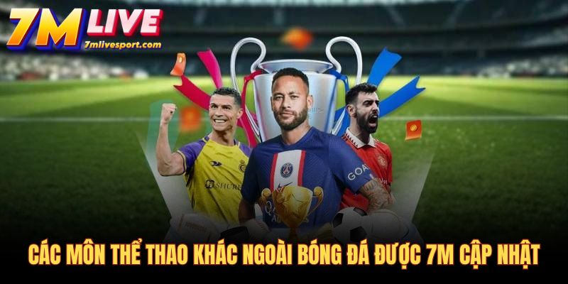 7M cung cấp livescore đa dạng các môn thể thao ngoài bóng đá